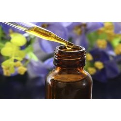 ΒΑΜΜΑ ΠΡΟΠΟΛΗΣ