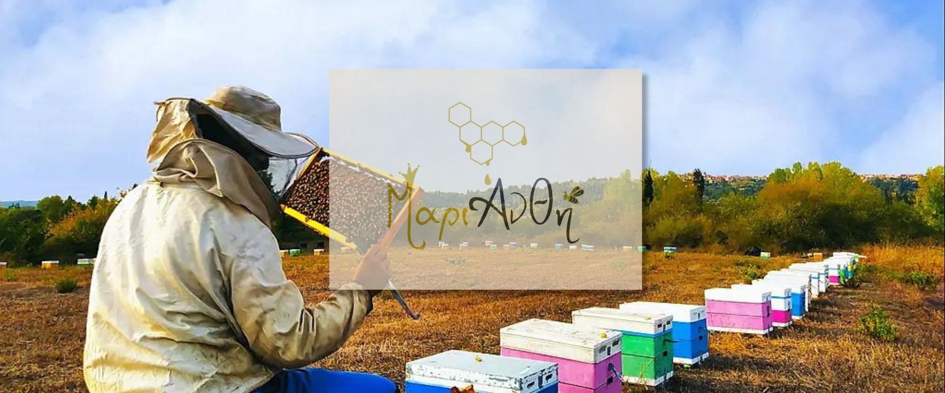 Μέλι ΜαριΆνθη